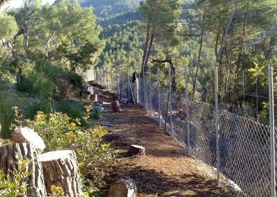 Trabajos forestales
