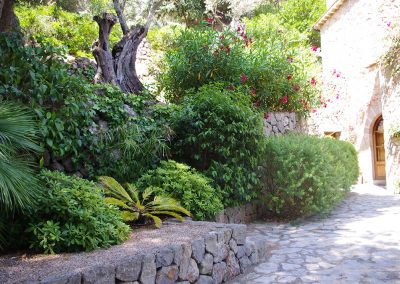 Jardín