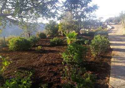 Jardín